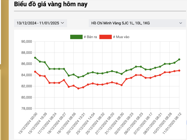 Giá vàng miếng SJC, vàng nhẫn tăng vọt, sát 87 triệu đồng/lượng- Ảnh 2.