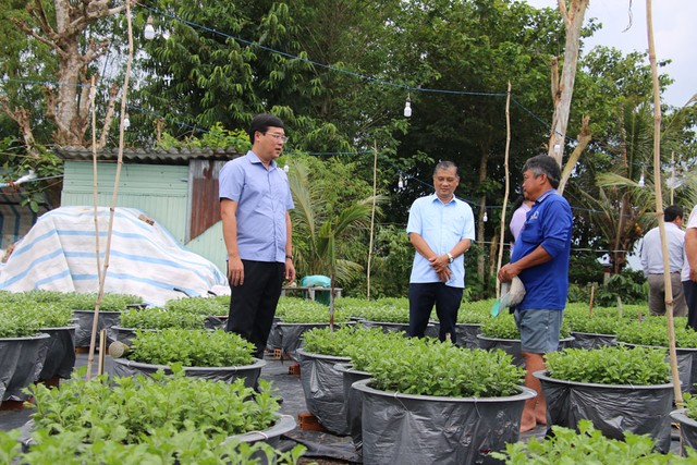 Lãnh đạo tỉnh Đồng Tháp chú trọng hỗ trợ phát triển nghề trồng hoa, kiểng ở làng hoa Sa Đéc theo hướng bền vững, thân thiện với môi trường