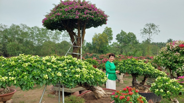 Du xuân sớm ở "vương quốc hoa kiểng"- Ảnh 5.