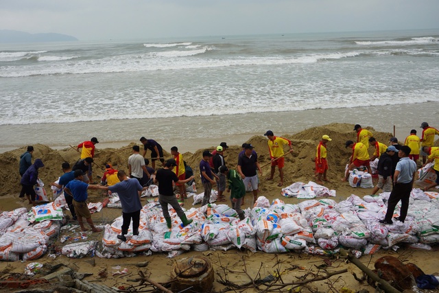 Hơn 200 người đắp cát, “vá” bãi biển Đà Nẵng- Ảnh 2.