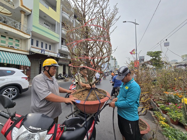 TP HCM: Khai mạc chợ hoa xuân "trên bến dưới thuyền"- Ảnh 7.