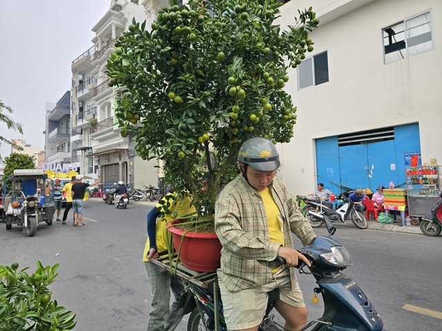 TP HCM: Khai mạc chợ hoa xuân "trên bến dưới thuyền"- Ảnh 8.