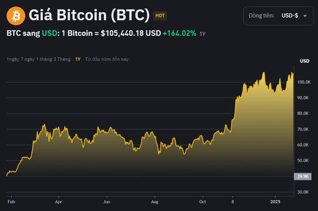 Một năm Bitcoin biến động khó ngờ, người chơi "lên voi xuống chó"- Ảnh 1.