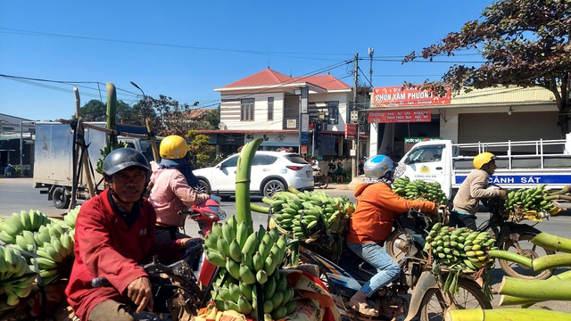 Đi chợ chuối mật mốc lớn nhất miền Trung ngày cuối năm- Ảnh 8.