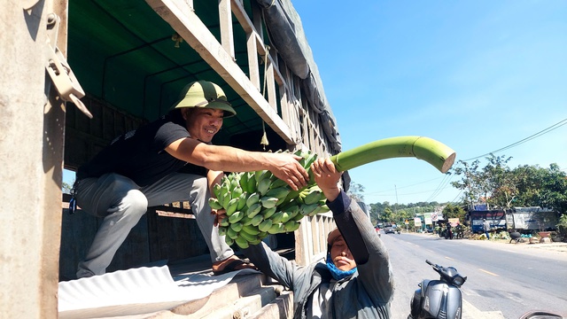 Đi chợ chuối mật mốc lớn nhất miền Trung ngày cuối năm- Ảnh 7.