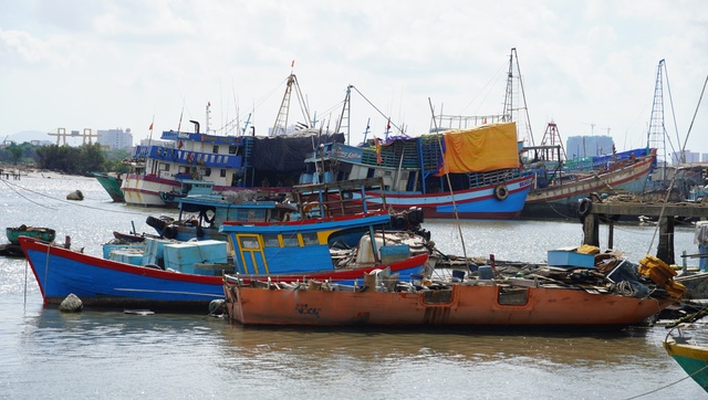 Cá tôm đầy ắp, ngư dân Bà Rịa- Vũng Tàu và du khách “sướng ra mặt”- Ảnh 1.