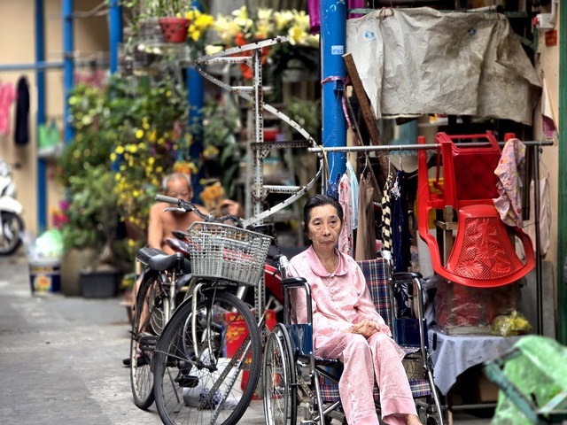 Hào Sỹ Phường đẹp cổ kính ngày Tết- Ảnh 5.