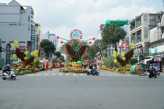 VIDEO: Độc đáo đường hoa nghệ thuật ở Cần Thơ- Ảnh 1.