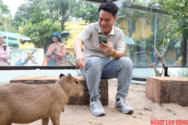 Ngắm "bộ trưởng ngoại giao trong giới động vật" tại Thảo Cầm Viên Sài Gòn- Ảnh 6.