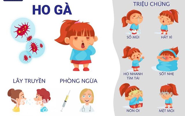 Bé gái 4 tuổi tử vong ở Đồng Nai: Do bệnh ho gà- Ảnh 1.