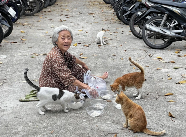 Tài khoản "Hanh Nha Meo" làm ảnh hưởng nghiêm trọng uy tín của Thảo Cầm Viên Sài Gòn- Ảnh 1.