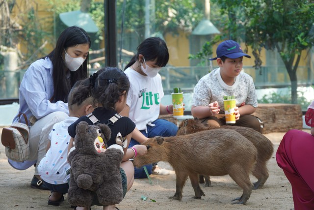 VIDEO: "Nựng" capybara ngoài đời thật tại Thảo Cầm Viên- Ảnh 1.