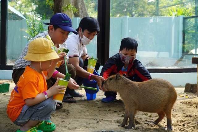 VIDEO: "Nựng" capybara ngoài đời thật tại Thảo Cầm Viên- Ảnh 9.