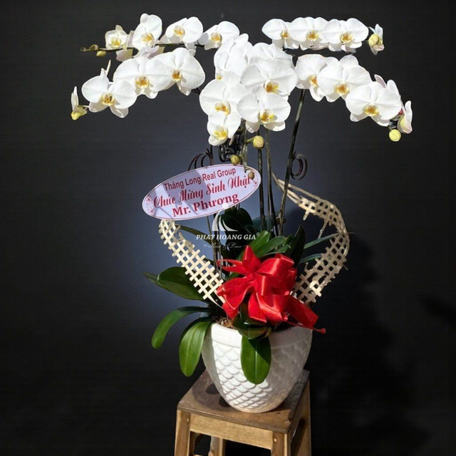 Hoa tươi cho mọi khoảnh khắc trong cuộc sống - Ảnh 2.