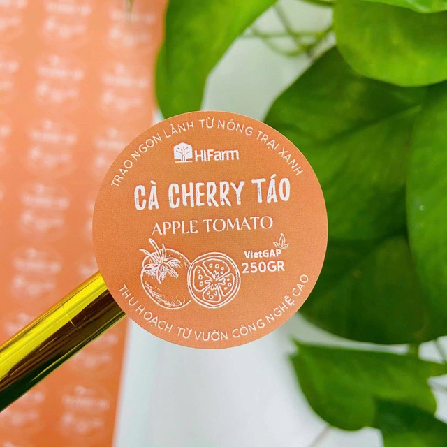 In An Khánh chuyên in tem logo dán theo yêu cầu tại TP HCM uy tín - Ảnh 2.