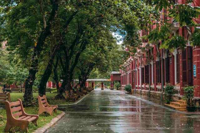 Vẻ đẹp trăm năm Quốc Học – Huế và cuộc thi Đường lên đỉnh Olympia - Ảnh 7. Vẻ đẹp trăm năm Quốc Học – Huế và cuộc thi Đường lên đỉnh Olympia - Ảnh 7.