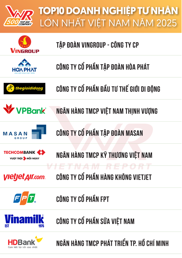 Hai doanh nghiệp của tỉ phú Nguyễn Thị Phương Thảo vào tốp doanh nghiệp tư nhân lớn nhất Việt Nam - Ảnh 4.