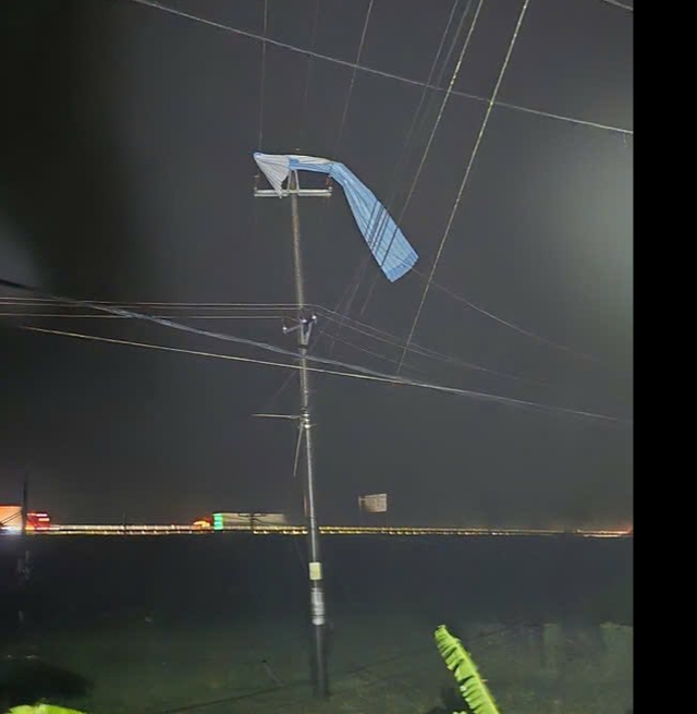 - Ảnh 6. - Ảnh 6.