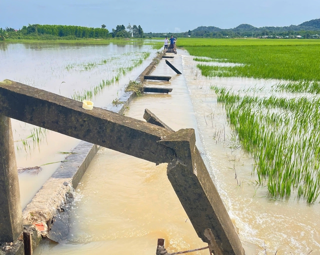 Mưa lớn kéo dài gây thiệt hại nặng tại nhiều xã ở Bà Rịa – Vũng Tàu cũ - Ảnh 2.