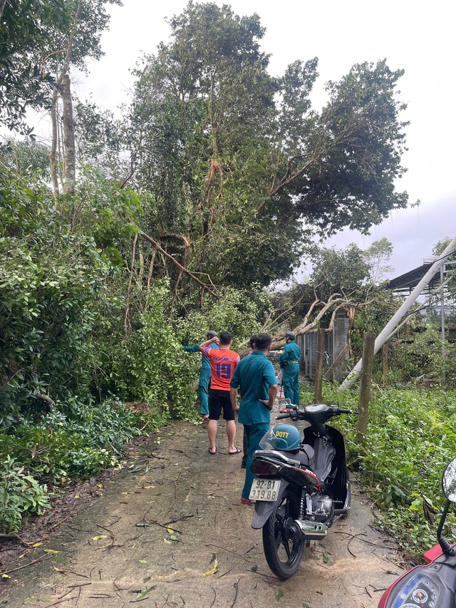 - Ảnh 15. - Ảnh 15.