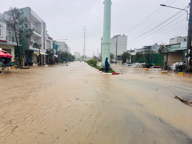 - Ảnh 19. - Ảnh 19.