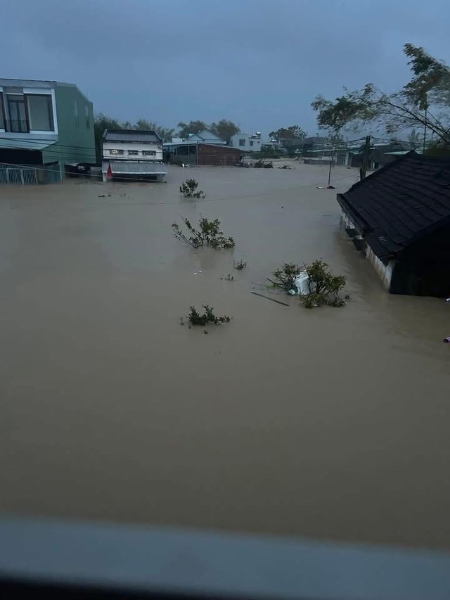 - Ảnh 25. - Ảnh 25.