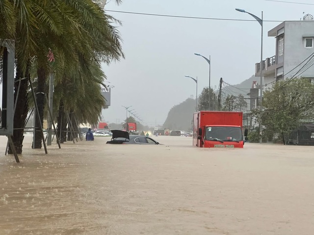 - Ảnh 29. - Ảnh 29.