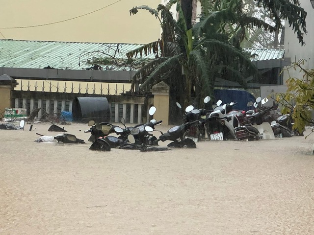 - Ảnh 30. - Ảnh 30.