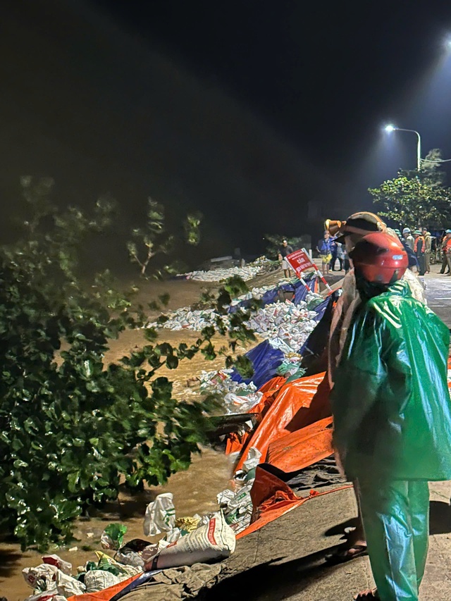 - Ảnh 14. - Ảnh 14.