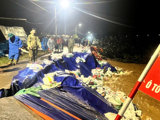 - Ảnh 2. - Ảnh 2.