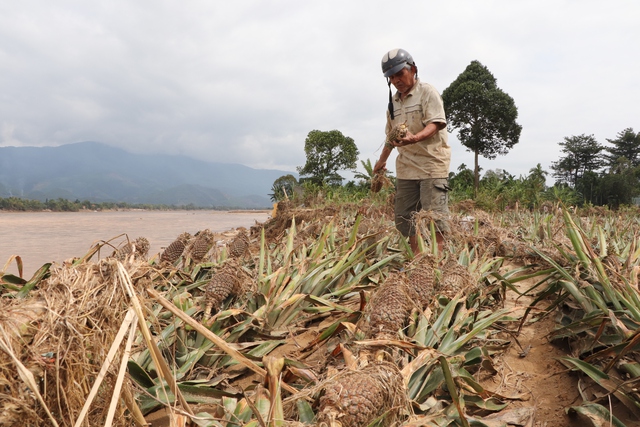 Người dân Đà Nẵng tố thủy điện xả lũ gây thiệt hại nặng nề cho sản xuất - Ảnh 1.