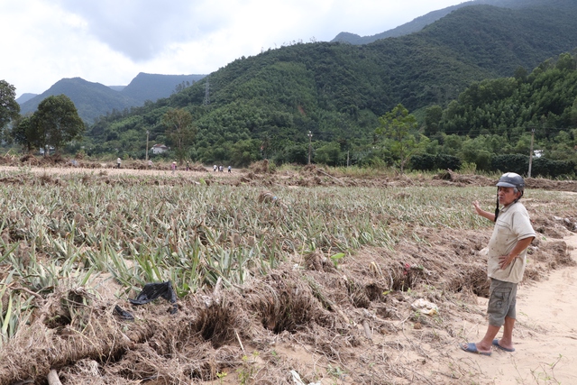 Người dân Đà Nẵng tố thủy điện xả lũ gây thiệt hại nặng nề cho sản xuất - Ảnh 2.