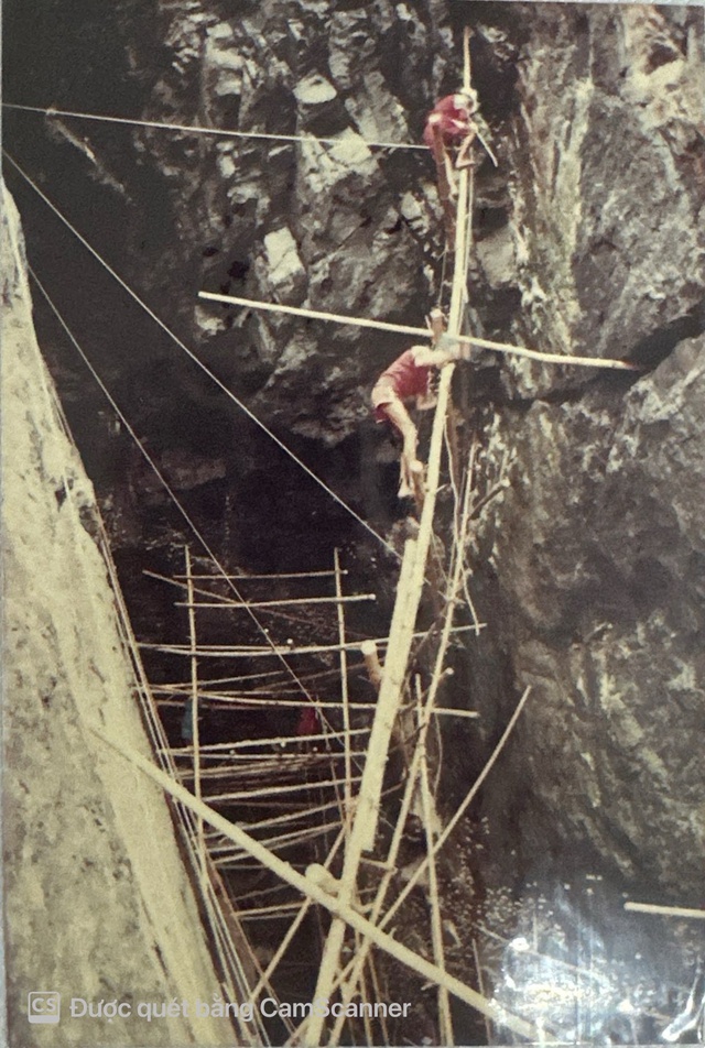 Yến sào Khánh Hòa: Từ tổ yến thô đến danh xưng “Yến Vua” trên thị trường quốc tế - Ảnh 2.