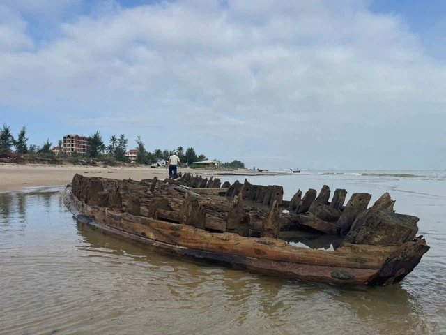 Tàu cổ Hội An lộ diện Sau bão số 13 thu hút du khách tham quan - Ảnh 8. Tàu cổ Hội An lộ diện Sau bão số 13 thu hút du khách tham quan - Ảnh 8.
