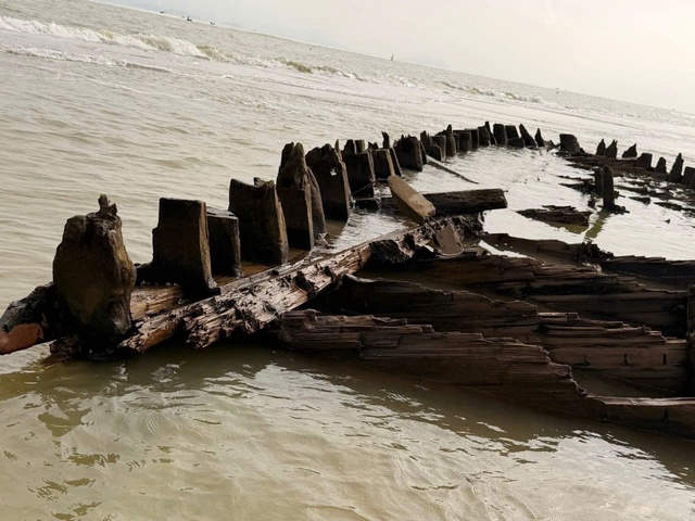 Tàu cổ Hội An lộ diện Sau bão số 13 thu hút du khách tham quan - Ảnh 10. Tàu cổ Hội An lộ diện Sau bão số 13 thu hút du khách tham quan - Ảnh 10.