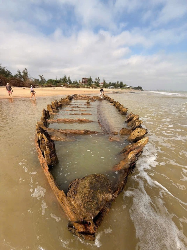 Tàu cổ Hội An lộ diện Sau bão số 13 thu hút du khách tham quan - Ảnh 2. Tàu cổ Hội An lộ diện Sau bão số 13 thu hút du khách tham quan - Ảnh 2.