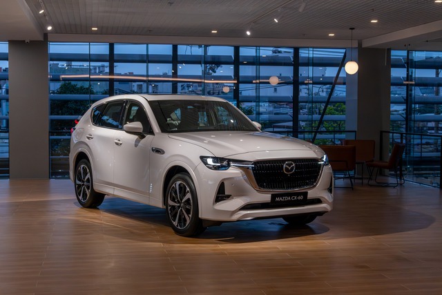 - Ảnh 1. - Ảnh 1.