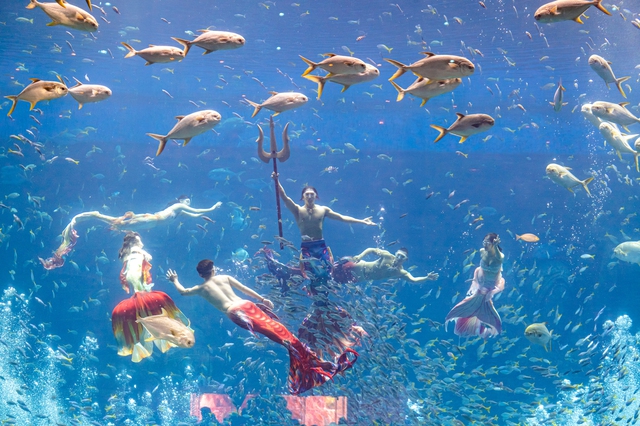 Bắc đảo Phú Quốc mùa đẹp nhất năm đánh thức mọi giác quan du khách - Ảnh 8.