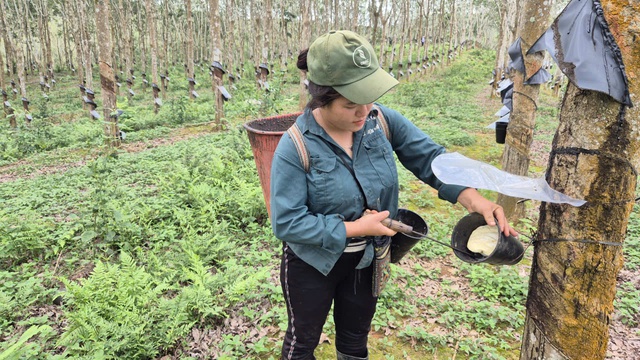 Dấu ấn công trình trọng điểm trong chiến lược phát triển bền vững của VRG - Ảnh 2.