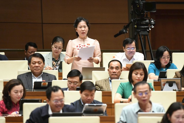 Nữ đại biểu Quốc hội đề xuất bổ sung dự án về chiến lược sức khỏe nam giới - Ảnh 2.
