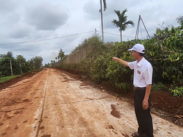 Mô hình giảm nghèo bền vững tại Đắk Lắk: Giải pháp cho từng hộ gia đình - Ảnh 2. Mô hình giảm nghèo bền vững tại Đắk Lắk: Giải pháp cho từng hộ gia đình - Ảnh 2.