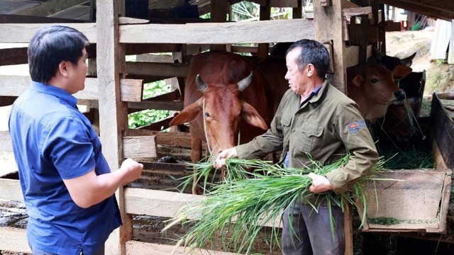 Thay đổi hành vi để giảm nghèo bền vững - Ảnh 1. Thay đổi hành vi để giảm nghèo bền vững - Ảnh 1.