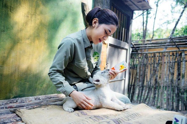 10 năm Vinpearl Safari Phú Quốc: Dấu ấn tiên phong của safari bán hoang dã đầu tiên tại Việt Nam - Ảnh 3. 10 năm Vinpearl Safari Phú Quốc: Dấu ấn tiên phong của safari bán hoang dã đầu tiên tại Việt Nam - Ảnh 3.