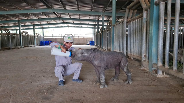 10 năm Vinpearl Safari Phú Quốc: Dấu ấn tiên phong của safari bán hoang dã đầu tiên tại Việt Nam - Ảnh 4. 10 năm Vinpearl Safari Phú Quốc: Dấu ấn tiên phong của safari bán hoang dã đầu tiên tại Việt Nam - Ảnh 4.