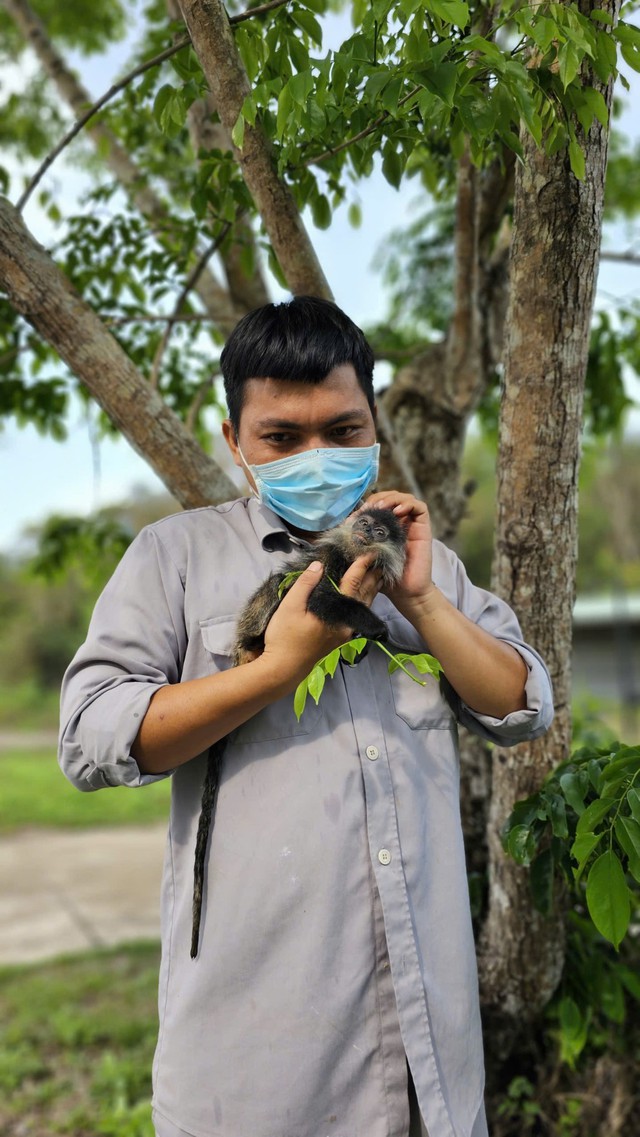 10 năm Vinpearl Safari Phú Quốc: Dấu ấn tiên phong của safari bán hoang dã đầu tiên tại Việt Nam - Ảnh 7.