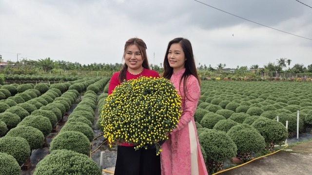 Vựa hoa miền T&acirc;y sớm b&aacute;n hoa Tết qua livestream c&ugrave;ng người nổi tiếng - Ảnh 3.