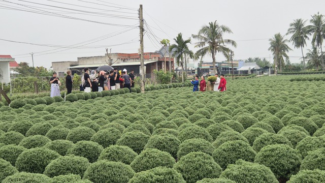 Vựa hoa miền T&acirc;y sớm b&aacute;n hoa Tết qua livestream c&ugrave;ng người nổi tiếng - Ảnh 5.