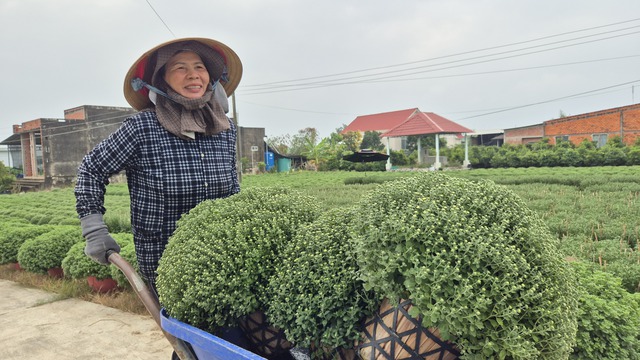 Vựa hoa miền T&acirc;y sớm b&aacute;n hoa Tết qua livestream c&ugrave;ng người nổi tiếng - Ảnh 8.