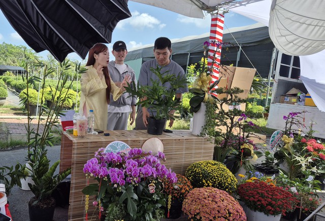 Vựa hoa miền T&acirc;y sớm b&aacute;n hoa Tết qua livestream c&ugrave;ng người nổi tiếng - Ảnh 13.