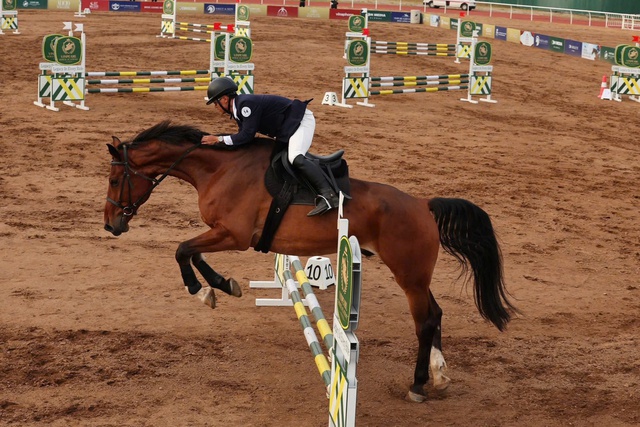 Vinpearl Equestrian Cup 2025: Bước đột phá của thể thao cưỡi ngựa Việt Nam - Ảnh 11.